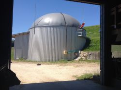 Biogasanlage Germperle Fischingen aus Stall mit Kuh